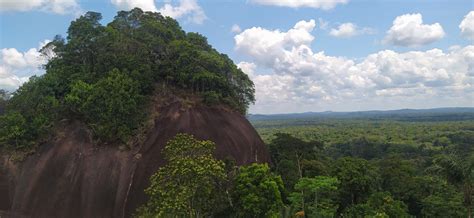  El Sueño de la Selva Profunda - Tervetuloa Colombian viidakon syvyyteen!